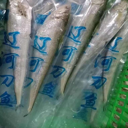 辽河刀鱼 舌尖上的河鲜传奇3斤1两