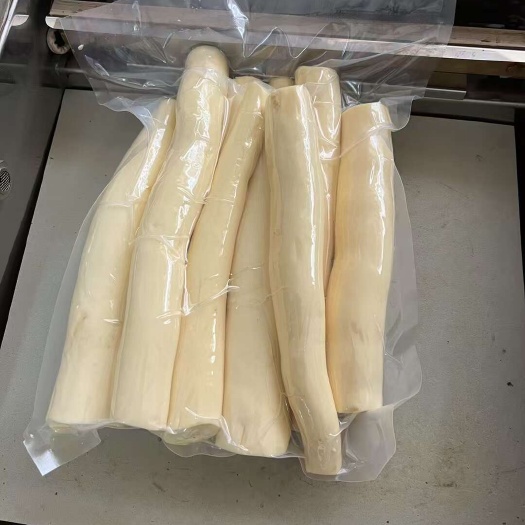华南九号黄心木薯