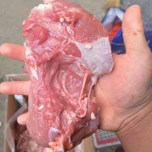阳信县小牛大块牛碎肉