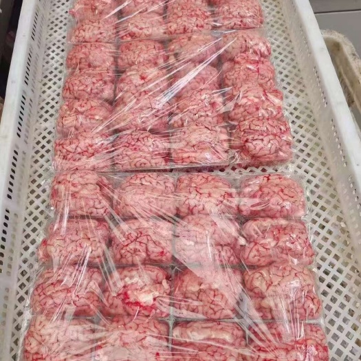 郑州河南郑州新鲜羊脑供应 羊副产品批发 实惠价等你来