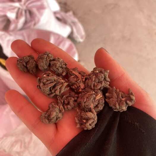淮滨县猫爪草