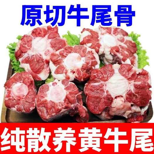 新鲜黄牛尾巴整根牛尾骨现杀农家散养黄牛新鲜内蒙牛尾骨整根批发