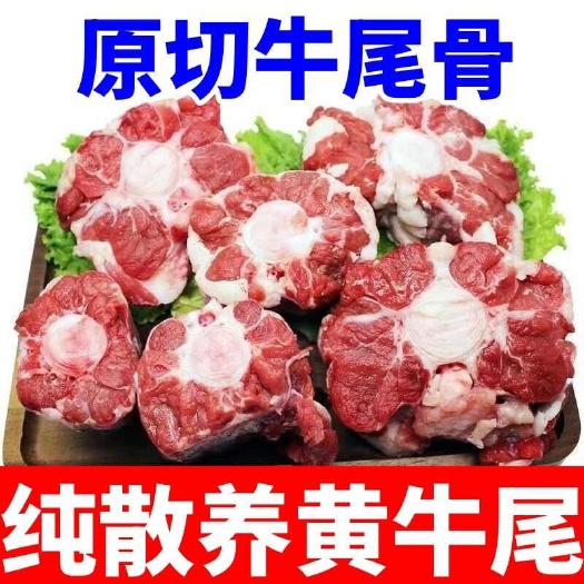 臨沂新鮮黃牛尾巴整根牛尾骨現殺農家散養(yǎng)黃牛新鮮內蒙牛尾骨整根批發(fā)