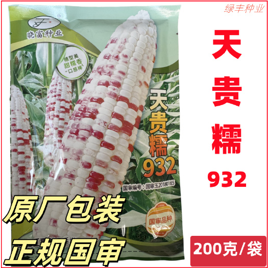 三明国审天贵糯932玉米种子彩色甜加糯玉米种 非转基因彩甜糯玉米