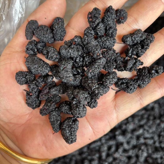 玉林桑葚果 水洗直接食用桑果干货新货产地直发诚信经营源头直供