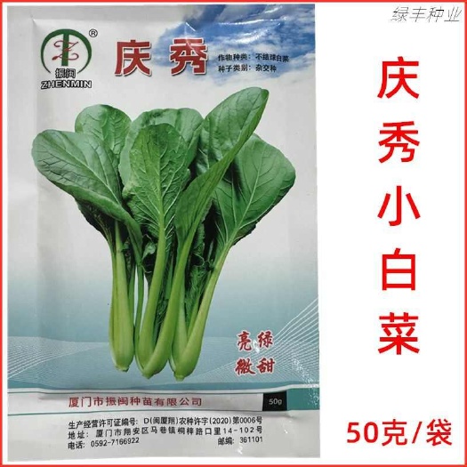 振闽 庆秀小白菜种子生长快颜色亮绿稍耐热耐寒性强四季油菜种孑