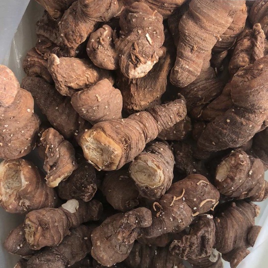 昆明重楼