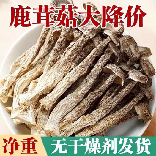 宁德【整根不碎】鹿茸菇干货鹿茸菌鹿耳菇蛹虫草煲汤炒菜菌菇蘑菇