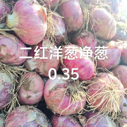 凤台县淮南二红洋葱己大量有货，个大，口感好。