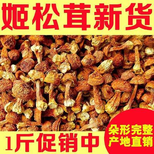 云南特产姬松茸干货批发食用巴西菇散装松茸菌食用姬松茸批发