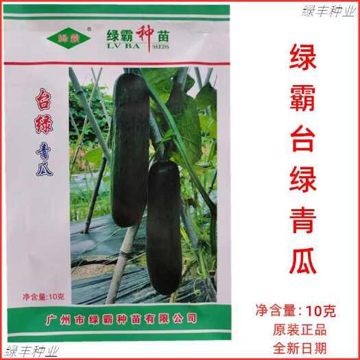 三明绿霸台绿青瓜种子早熟果色墨绿光亮头尾均匀春秋季吊瓜水果瓜种孑