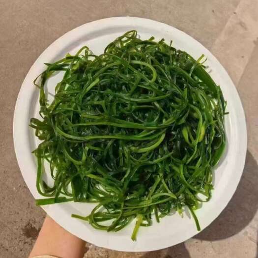 重庆市圈圈海带丝，一件10斤，约160-180片左右