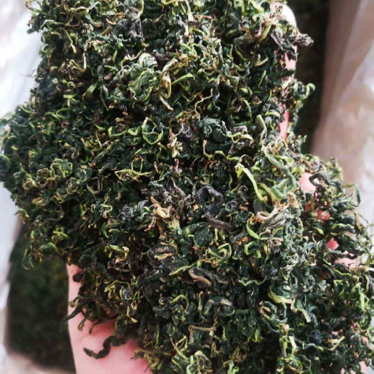 亳州蒲公英叶茶【假一赔十】