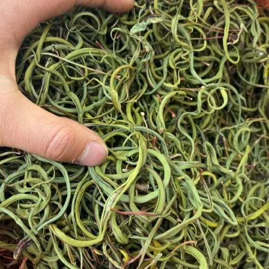 亳州精品小叶化石草、肾精草、肾精茶大货批发.