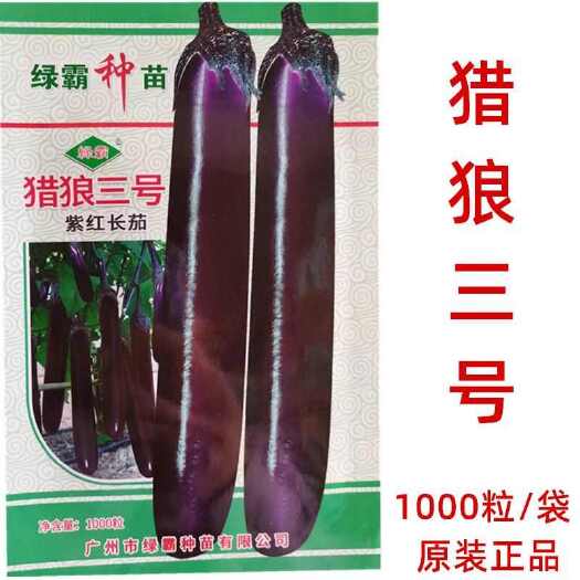 广州绿霸 猎狼三号紫红长茄种子华南茄 烧烤茄粗茄长茄1000