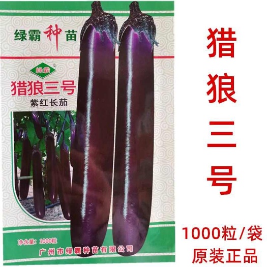 三明广州绿霸 猎狼三号紫红长茄种子华南茄 烧烤茄粗茄长茄1000