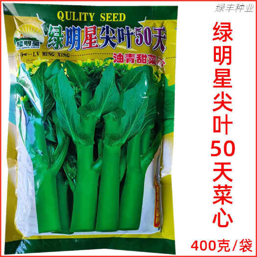 三明绿明星50天尖叶菜心种子基地专用亚明油青甜菜心春夏秋季蔬菜种