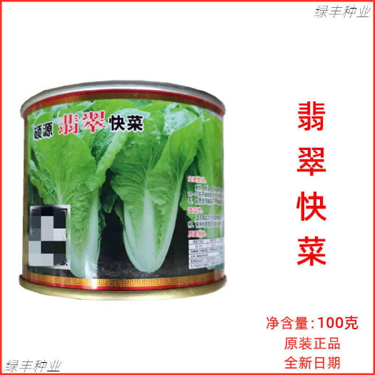 北京硕源翡翠快菜种子耐热耐湿抗病耐寒较耐抽苔春夏秋季快菜种孑