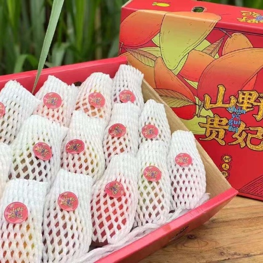 顺丰包邮~海南树上熟贵妃芒，三亚贵妃芒，海南芒果