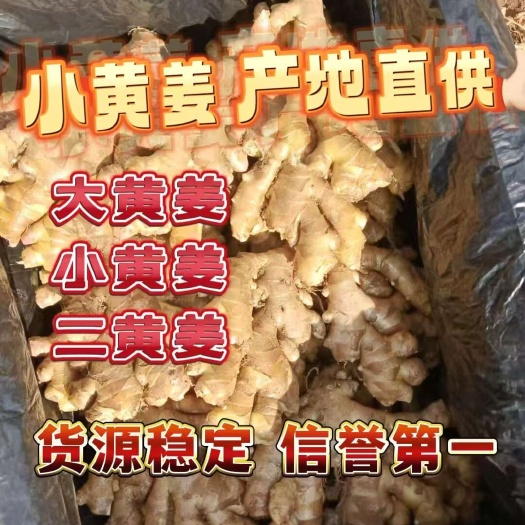 《推荐》小黄姜 云南高山小黄姜 味道足 泥沙干净扇子版型