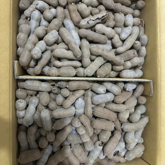 夏邑县酸角干 彝山香长期批发酸角甜角罗望子甜酸角酸酸甜甜小直角