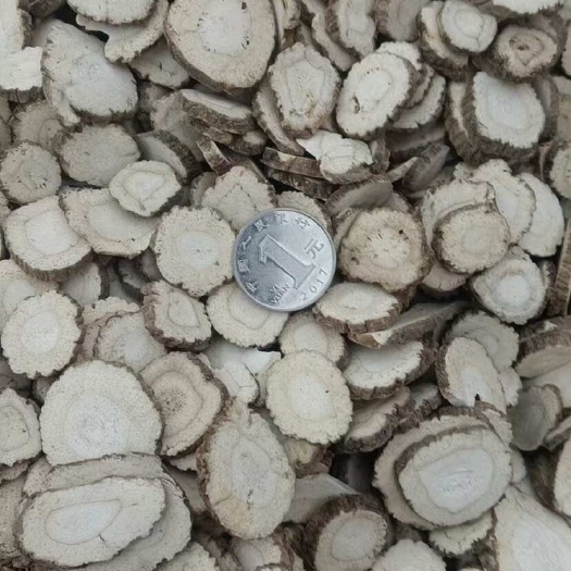 亳州白芷 白芷片 亳白芷 规格齐全