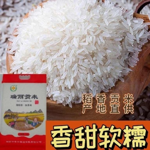 梁河县云南德宏“瑞丽贡米”，原始生态，长粒软米，傣族贡米10市斤。