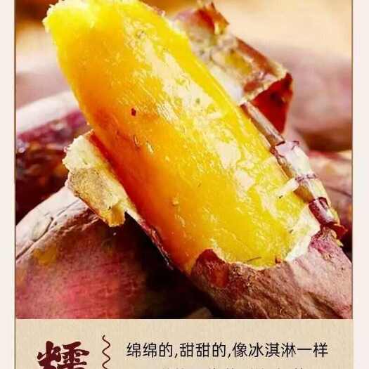 高原蜜薯玛莎莉