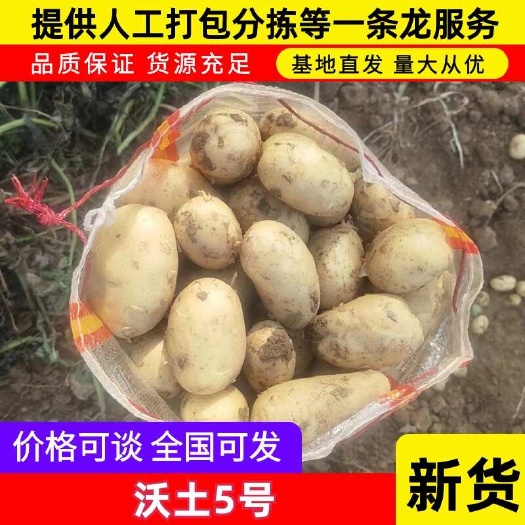 【推荐】湖北沃土黄心土豆 规格齐全