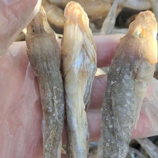 滨州油光鱼干！也叫狗光鱼！腌制咸鱼干！蒜瓣肉！泡一下蒸煎炸都好吃