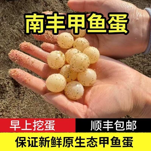 顺丰快递江西南丰外塘甲鱼蛋男人加油站好吃美味批发一件代发