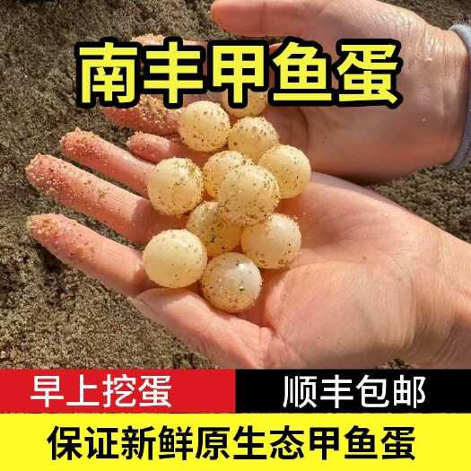 南丰县顺丰快递江西南丰外塘甲鱼蛋男人加油站好吃美味批发一件代发