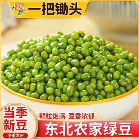 绿豆新货农家自产小绿豆脱皮绿豆糕饼绿豆汤材料新鲜发豆芽散装