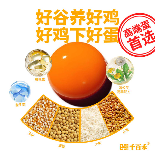浠水县无抗鸡蛋品牌供应链，国家专利，推广品牌。