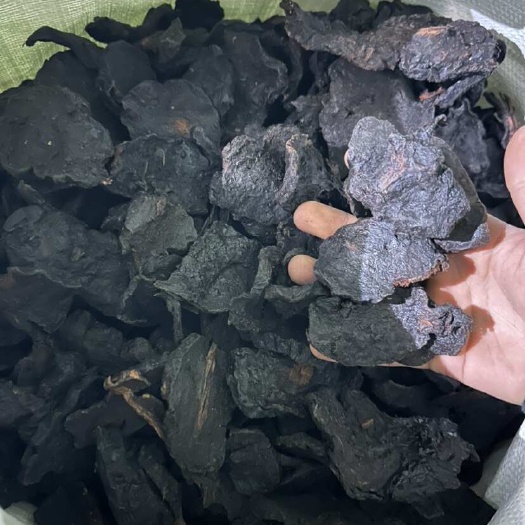亳州优质首乌根茎中药材产地直供现货行情批发