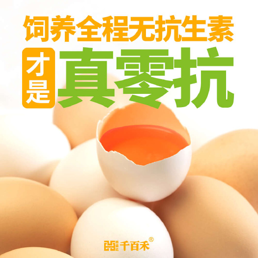 浠水县全程饲养不打针不吃药，科学喂养，真正0抗生素。