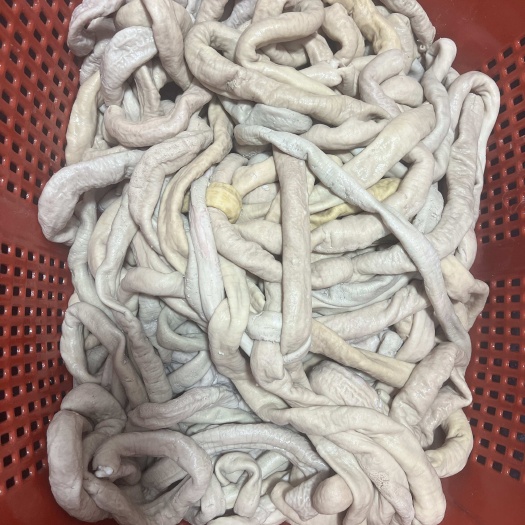 呼和浩特内蒙古新鲜牛肠 呼和浩特直发 优质牛副产品