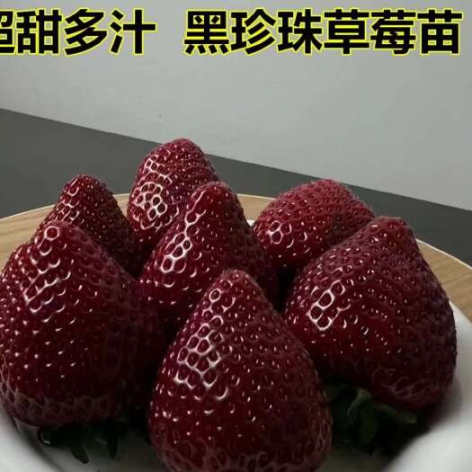 草莓：黑珍珠：真红美玲。