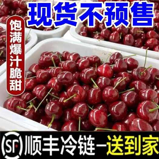 西安美早樱桃山东大樱桃大国产车厘子新鲜整箱水果顺丰现货