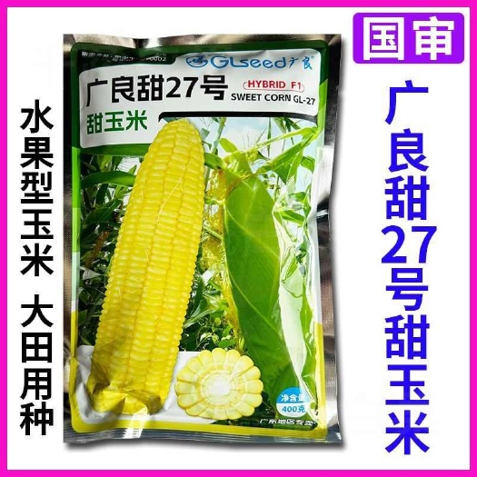 广州国审广良甜27号甜玉米种籽大棒超甜水果玉米种子春秋玉米种