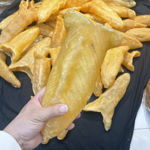 广州鱼胶花胶赤嘴，斗湖，白花，高品质鱼胶