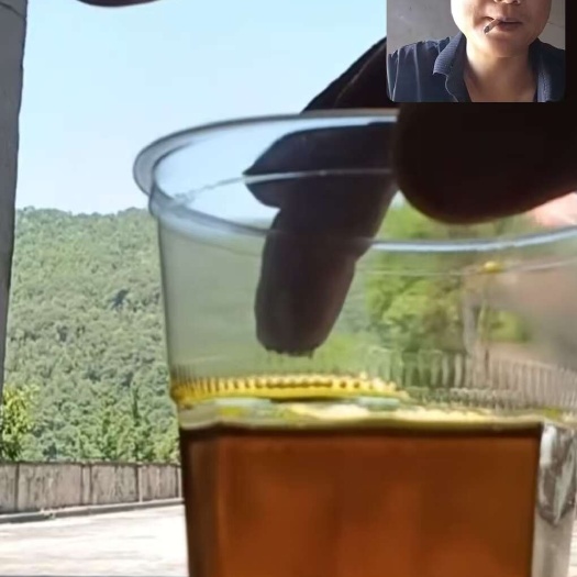 油菜籽  大量销售纯湖北，
支持试榨