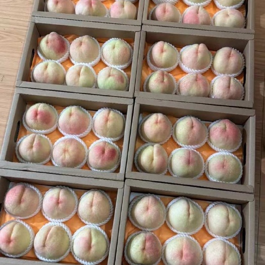 无锡阳山水蜜桃9两6个装当季桃子果园现摘现发