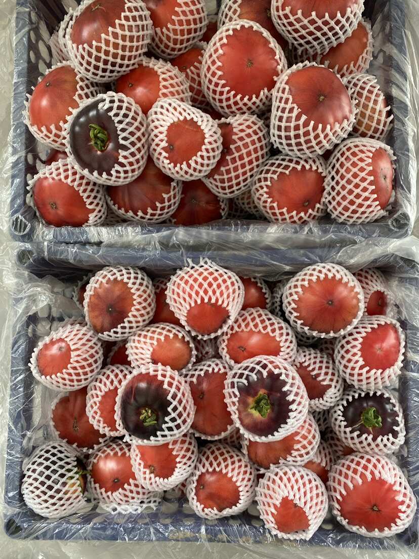 水果西红柿火山番茄沙瓤爆浆甜口产地直发现摘现发