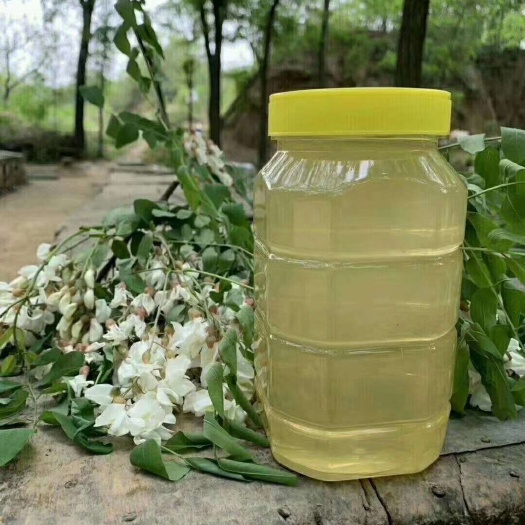 洋槐蜜，头茬新鲜原蜜，蜂农直发