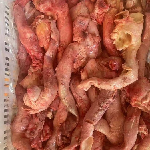 牛心管