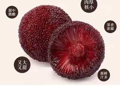仙居县浙江仙居东魁特大杨梅自然熟现摘现发新鲜水果礼盒装