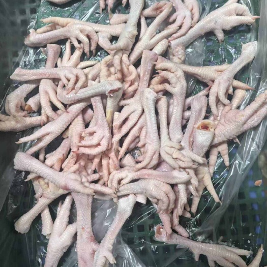 广州散养走地鸡清远鸡鸡脚