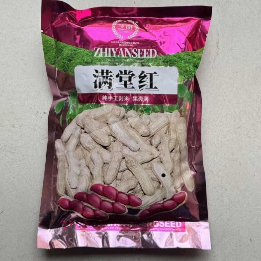 沭阳县四粒红花生种子基地优选原种花生种子红皮花生种籽大果花生种