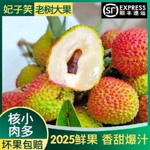 产地直发包邮:爽甜多汁广东妃子笑荔枝皮薄肉厚新鲜水果现摘现发